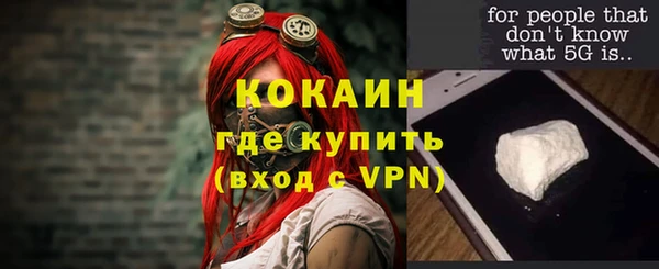 соль ск Алзамай