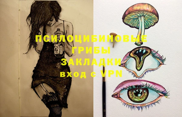 соль ск Алзамай