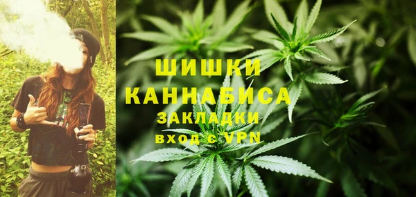 соль ск Алзамай