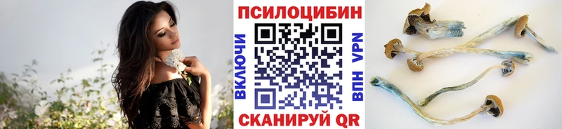 OMG вход Урай Псилоцибиновые грибы Cubensis